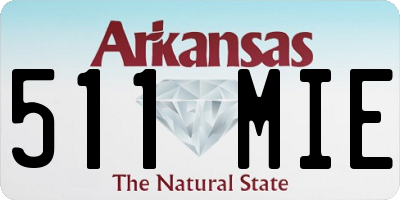 AR license plate 511MIE