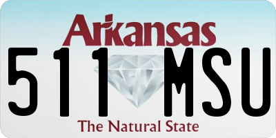AR license plate 511MSU