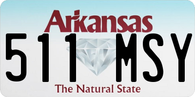 AR license plate 511MSY