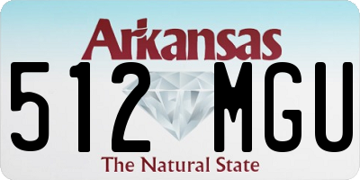 AR license plate 512MGU