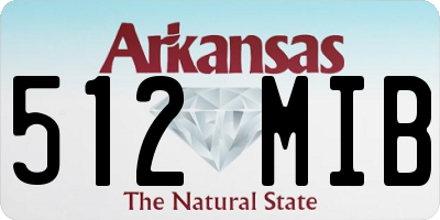 AR license plate 512MIB