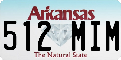 AR license plate 512MIM