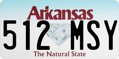 AR license plate 512MSY