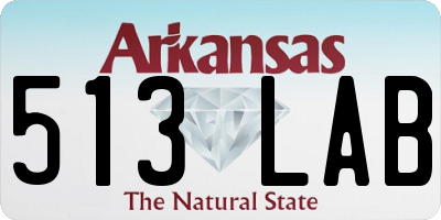 AR license plate 513LAB