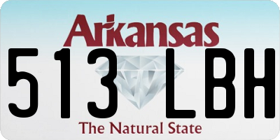 AR license plate 513LBH