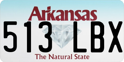 AR license plate 513LBX