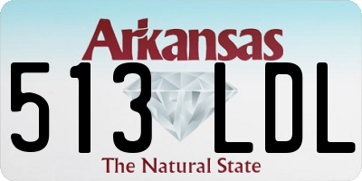 AR license plate 513LDL