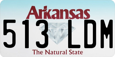 AR license plate 513LDM