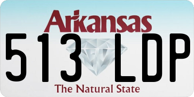 AR license plate 513LDP