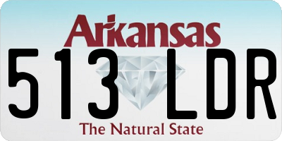 AR license plate 513LDR