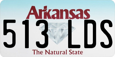 AR license plate 513LDS
