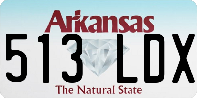 AR license plate 513LDX