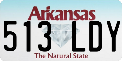 AR license plate 513LDY