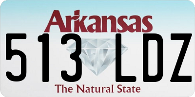 AR license plate 513LDZ