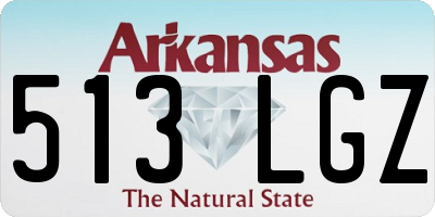 AR license plate 513LGZ