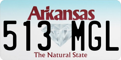 AR license plate 513MGL