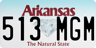 AR license plate 513MGM