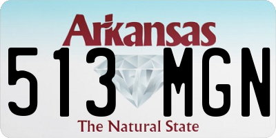 AR license plate 513MGN