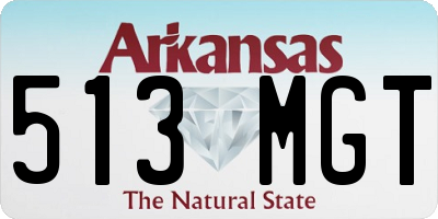 AR license plate 513MGT
