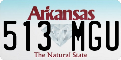 AR license plate 513MGU