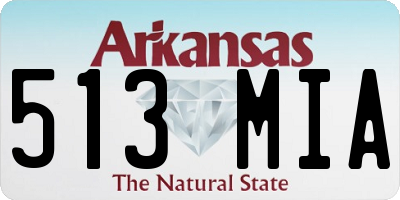 AR license plate 513MIA