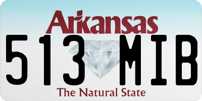 AR license plate 513MIB