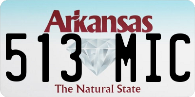 AR license plate 513MIC