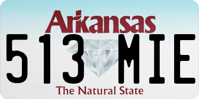 AR license plate 513MIE