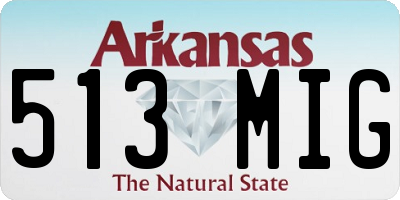 AR license plate 513MIG