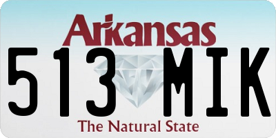 AR license plate 513MIK