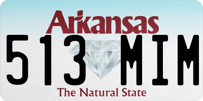 AR license plate 513MIM