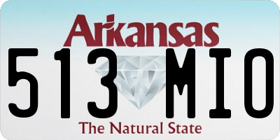 AR license plate 513MIO