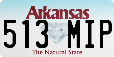 AR license plate 513MIP