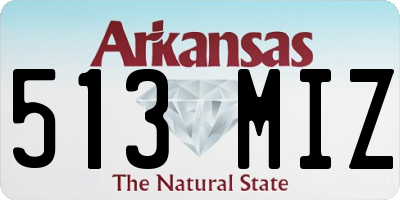 AR license plate 513MIZ