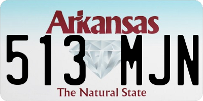 AR license plate 513MJN