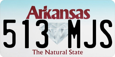 AR license plate 513MJS