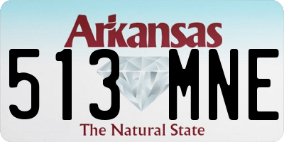 AR license plate 513MNE