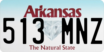 AR license plate 513MNZ