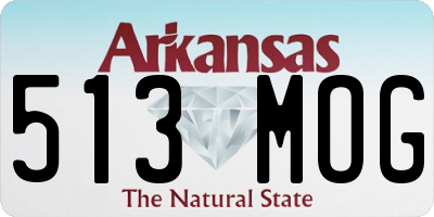 AR license plate 513MOG