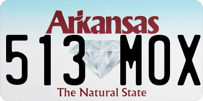 AR license plate 513MOX
