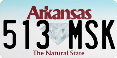 AR license plate 513MSK