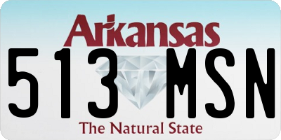 AR license plate 513MSN