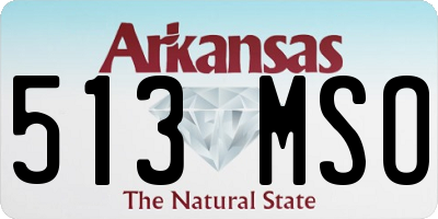 AR license plate 513MSO