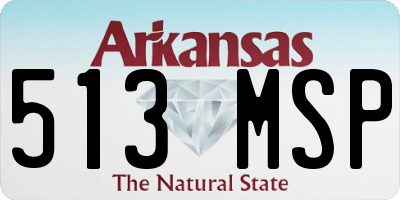 AR license plate 513MSP
