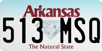 AR license plate 513MSQ