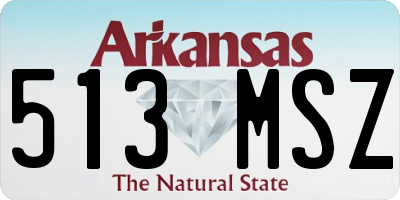 AR license plate 513MSZ