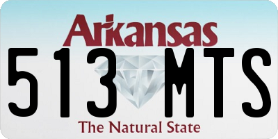 AR license plate 513MTS