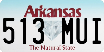 AR license plate 513MUI