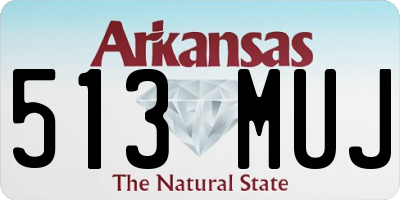 AR license plate 513MUJ