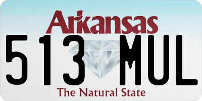 AR license plate 513MUL